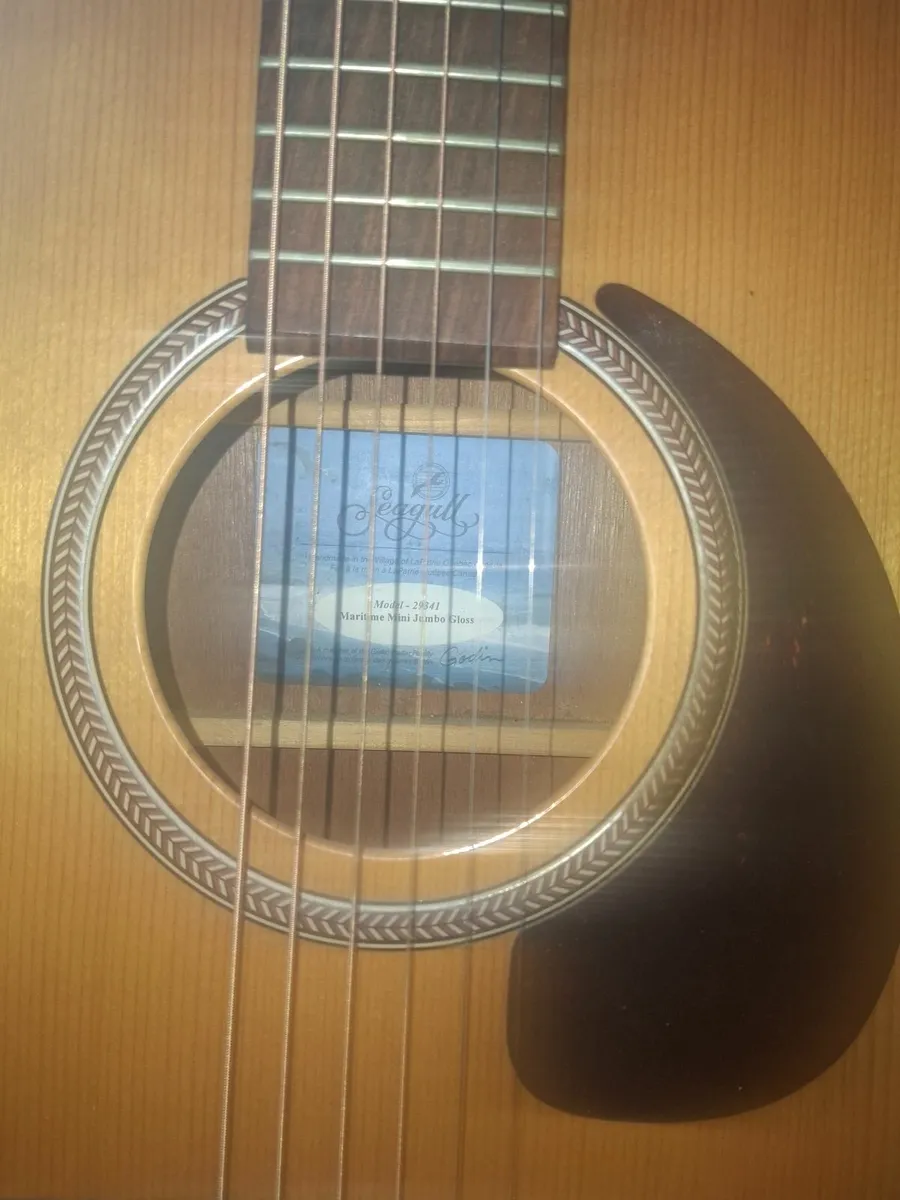 Seagul guitar - Image 2
