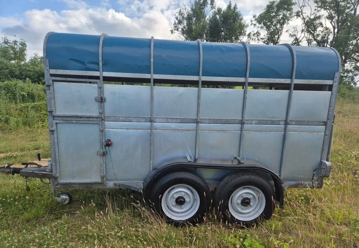 CROOKS  11 x 5 ,6 cattle  trailer - Image 3