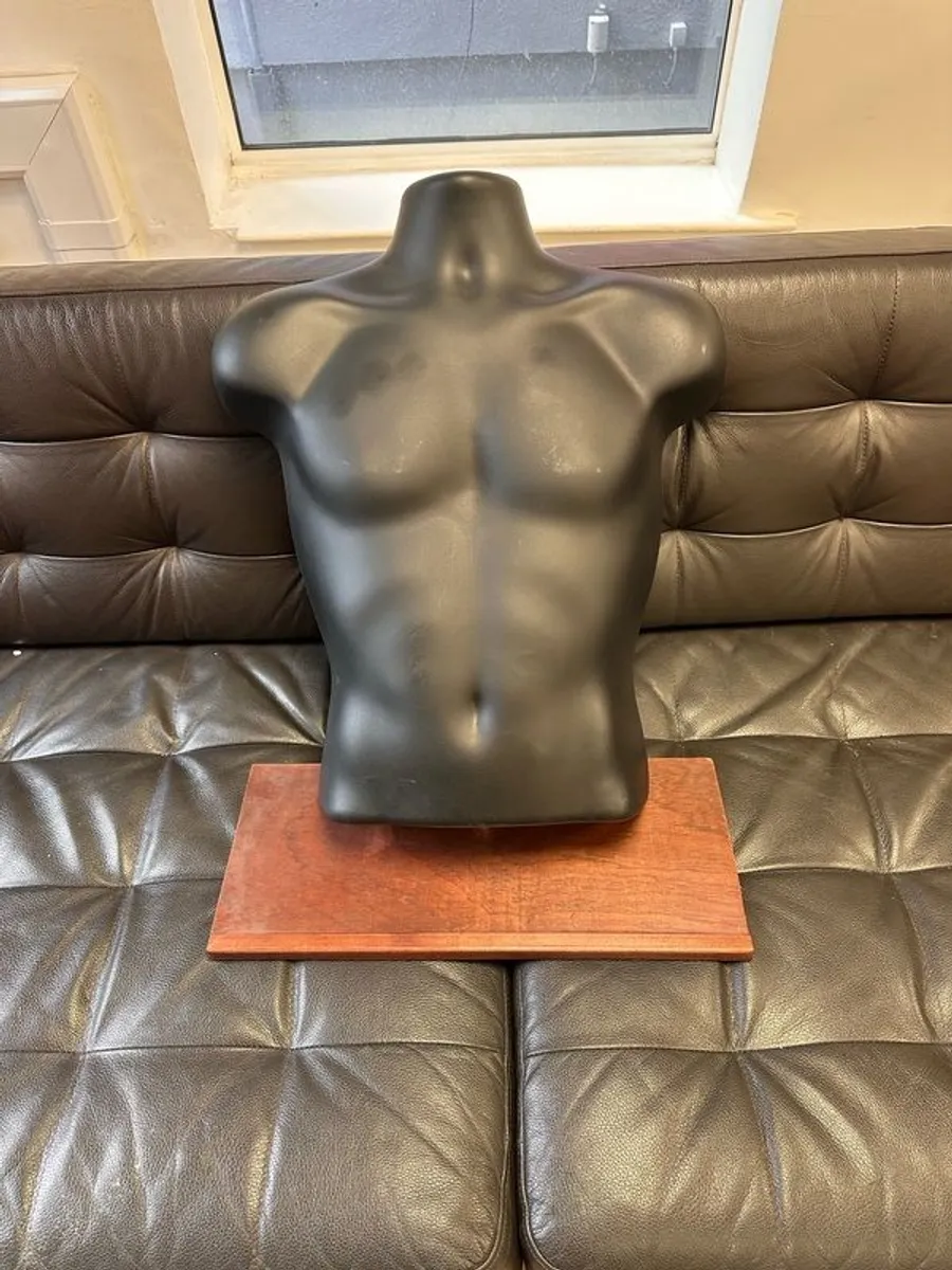 Male Bust display - Image 1