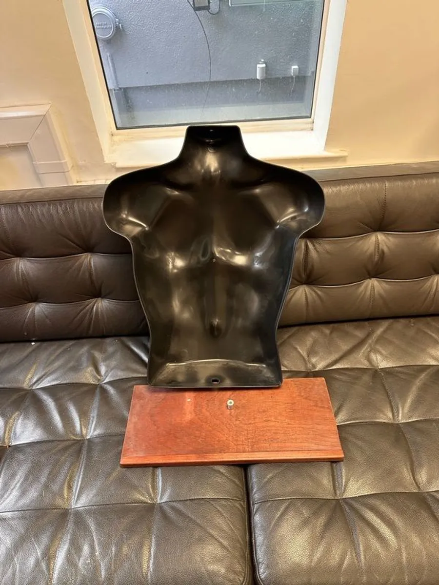 Male Bust display - Image 2