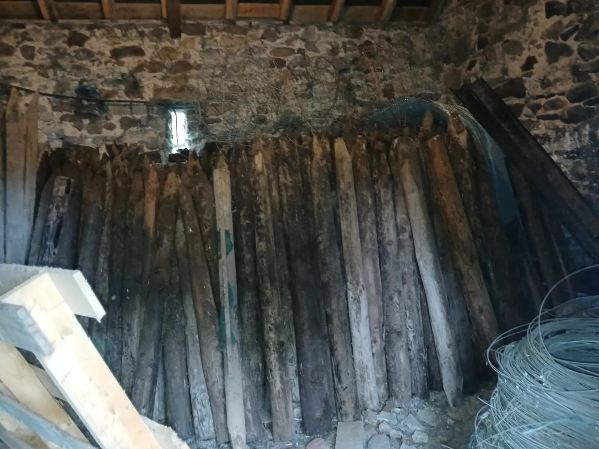 Fencing Posts - Image 1
