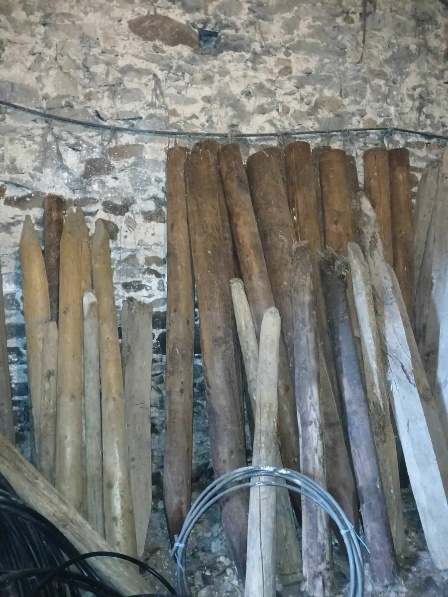 Fencing Posts - Image 2