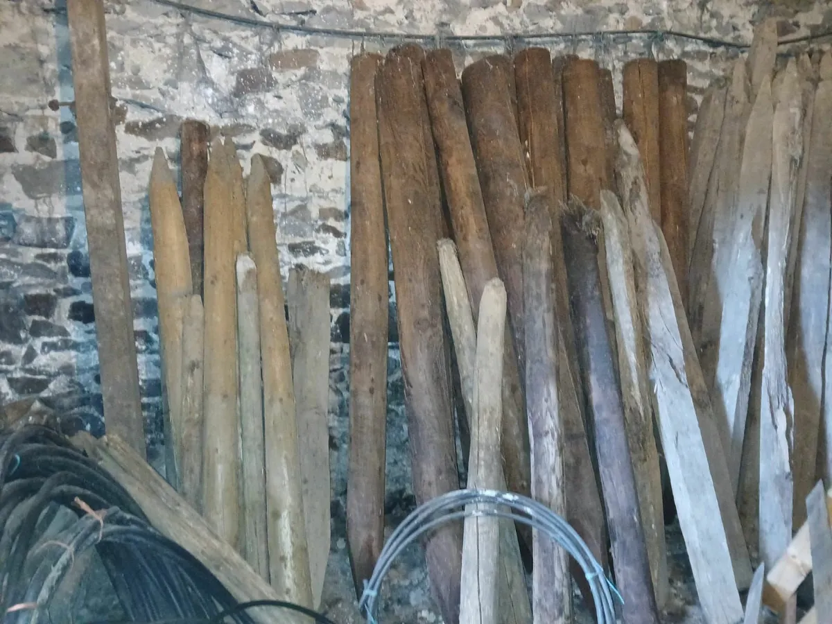 Fencing Posts - Image 3