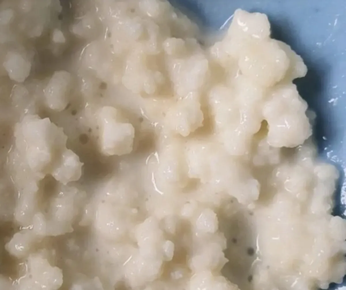 Kefir Grains - Image 1