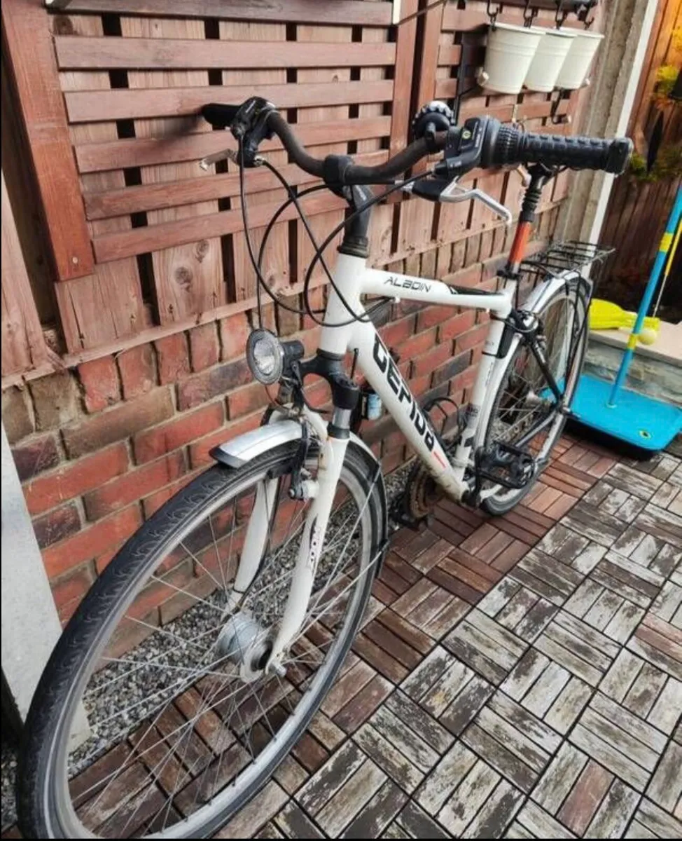 GEPIDA adult Bike - Image 3