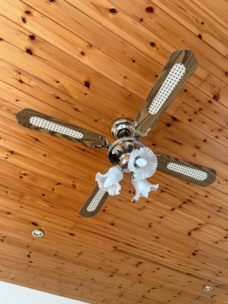 Ceiling fans and light fixtures - Image 1
