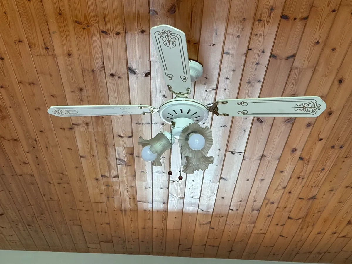 Ceiling fans and light fixtures - Image 2