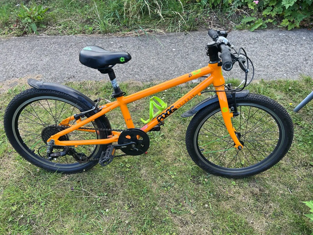 Kids Frog Bike - Image 4