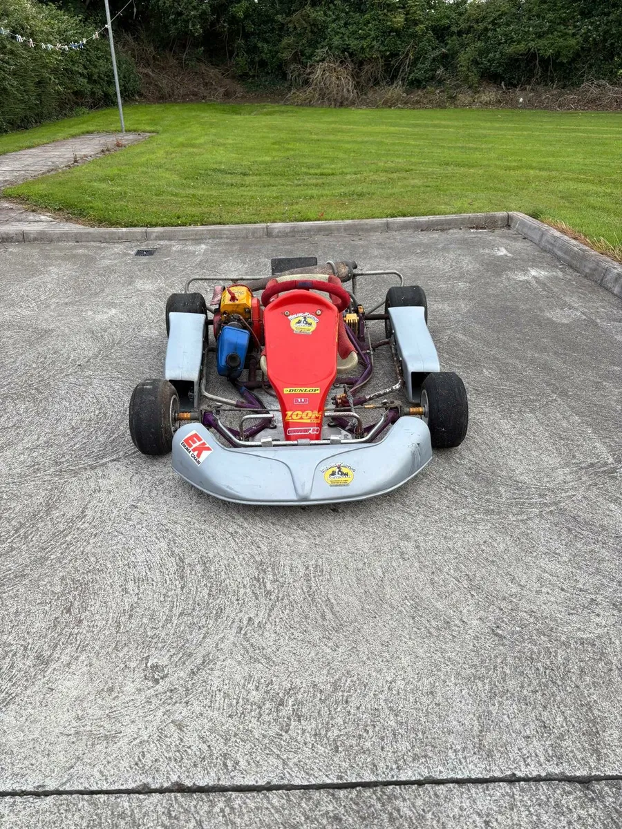 Junior Go-Kart - Image 2