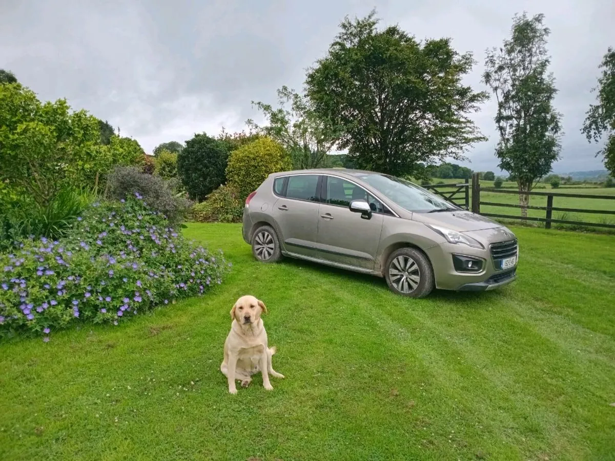 Peugeot 3008 - Image 3