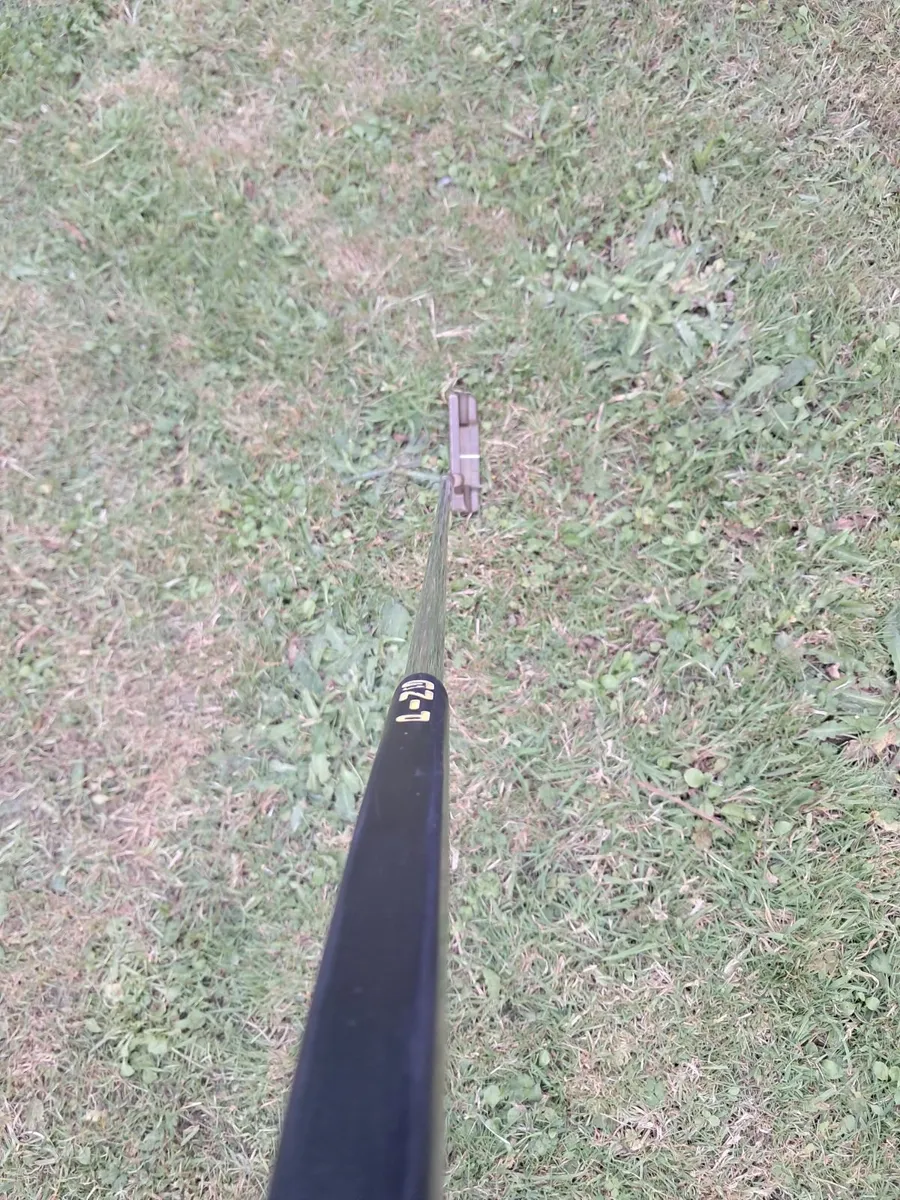 Ping anser - Image 2
