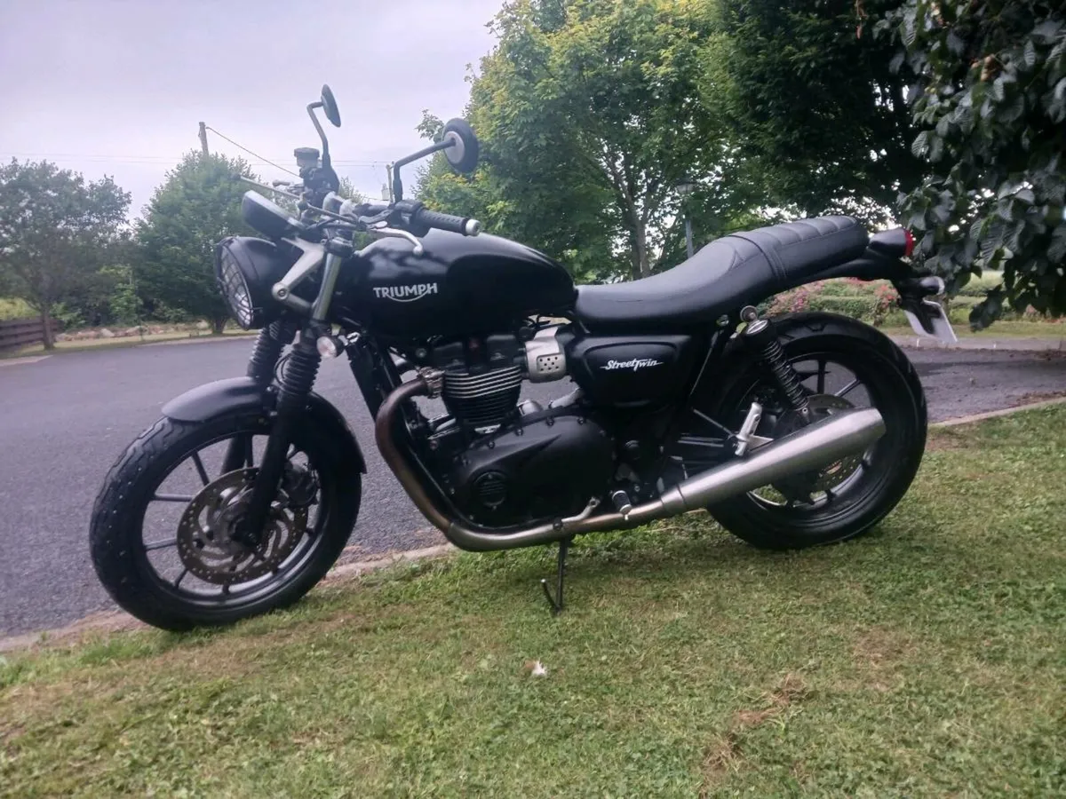 Triumph - Image 2