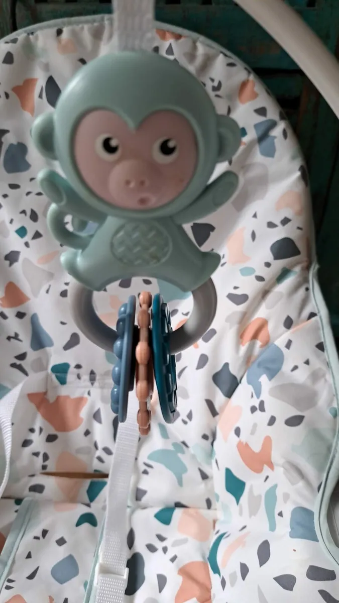 Fisher price infant to toddler rocker - Image 3