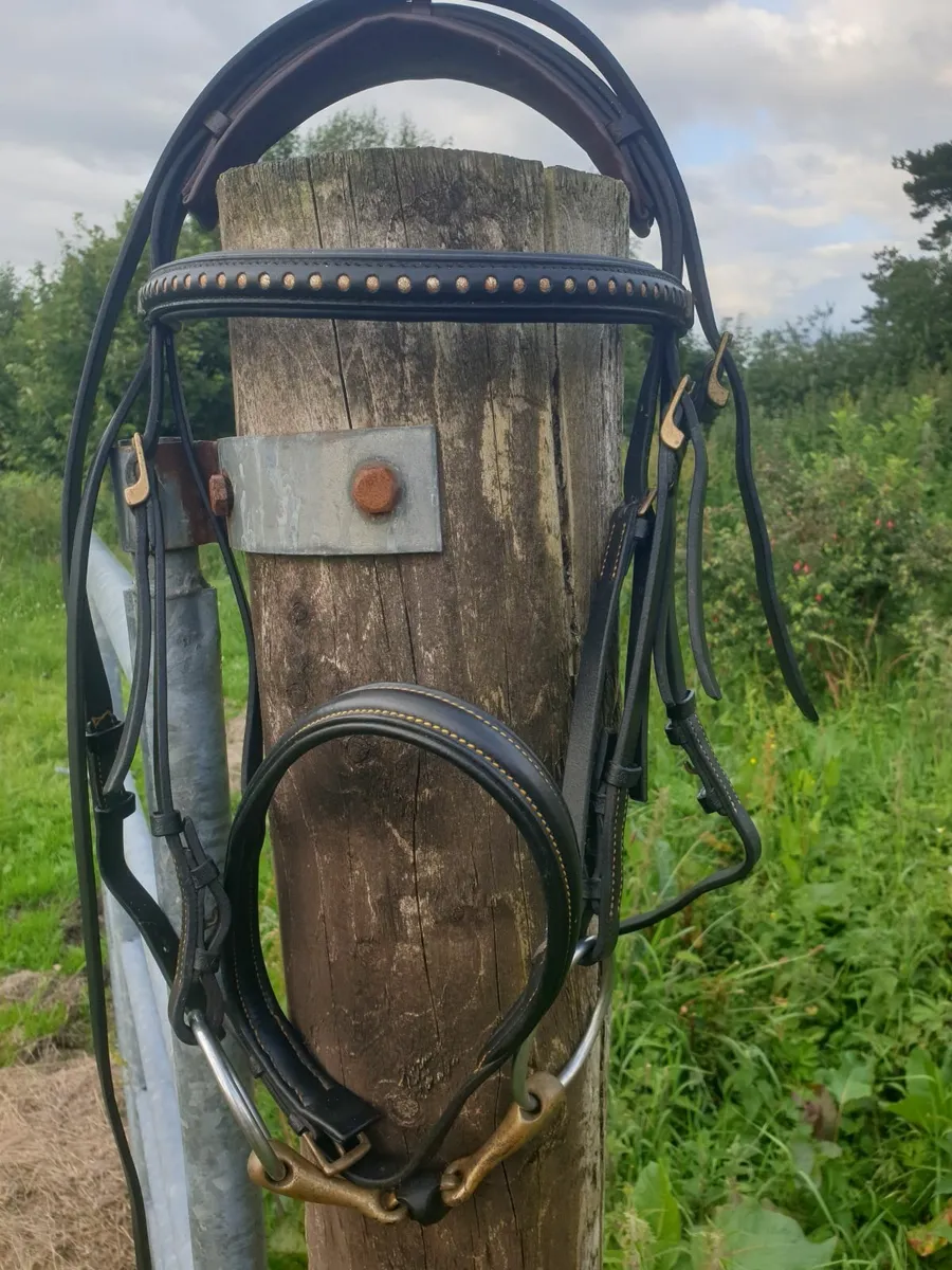 Stuebben Double bridle with Sprenger bits fs - Image 1