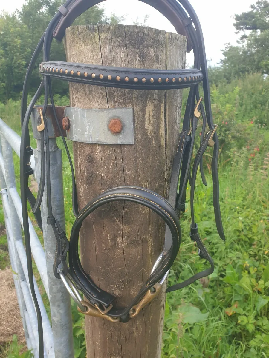 Stuebben Double bridle with Sprenger bits fs - Image 2
