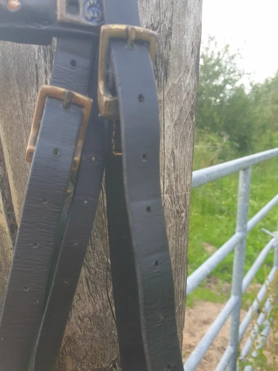 Stuebben Double bridle with Sprenger bits fs - Image 3