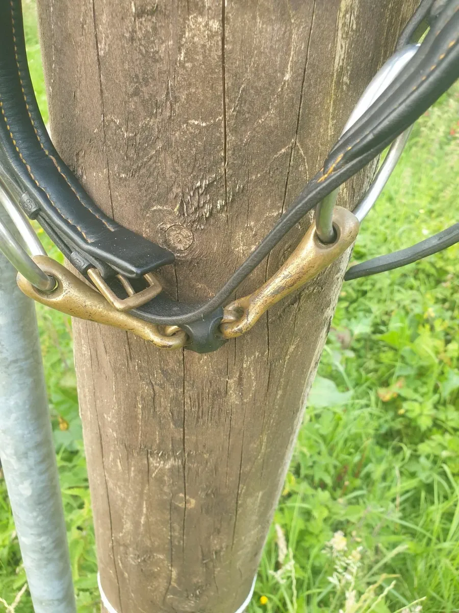 Stuebben Double bridle with Sprenger bits fs - Image 4