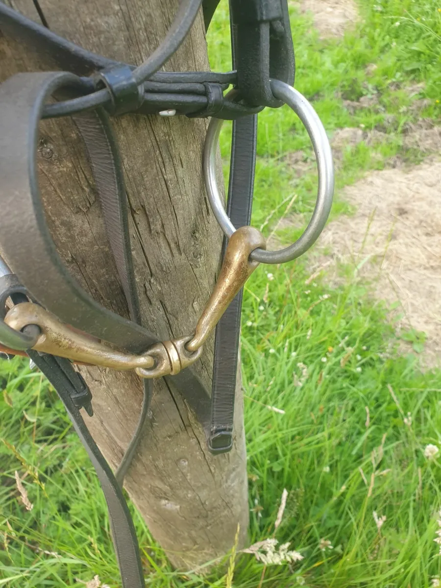 Stuebben single bridle fs plus Sprenger bit - Image 2
