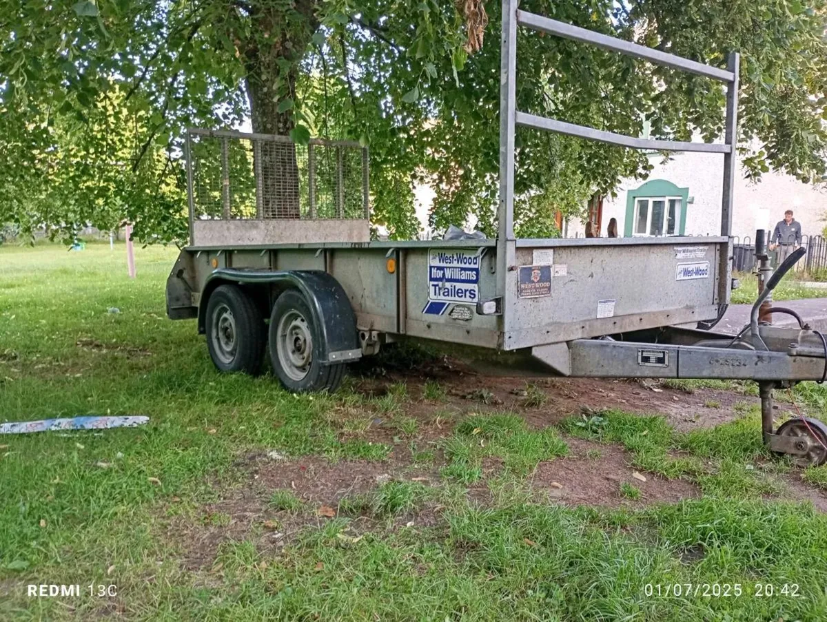 Ifor William - Image 1
