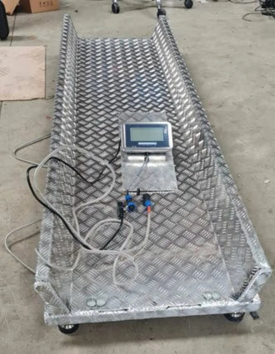 Weighing scales