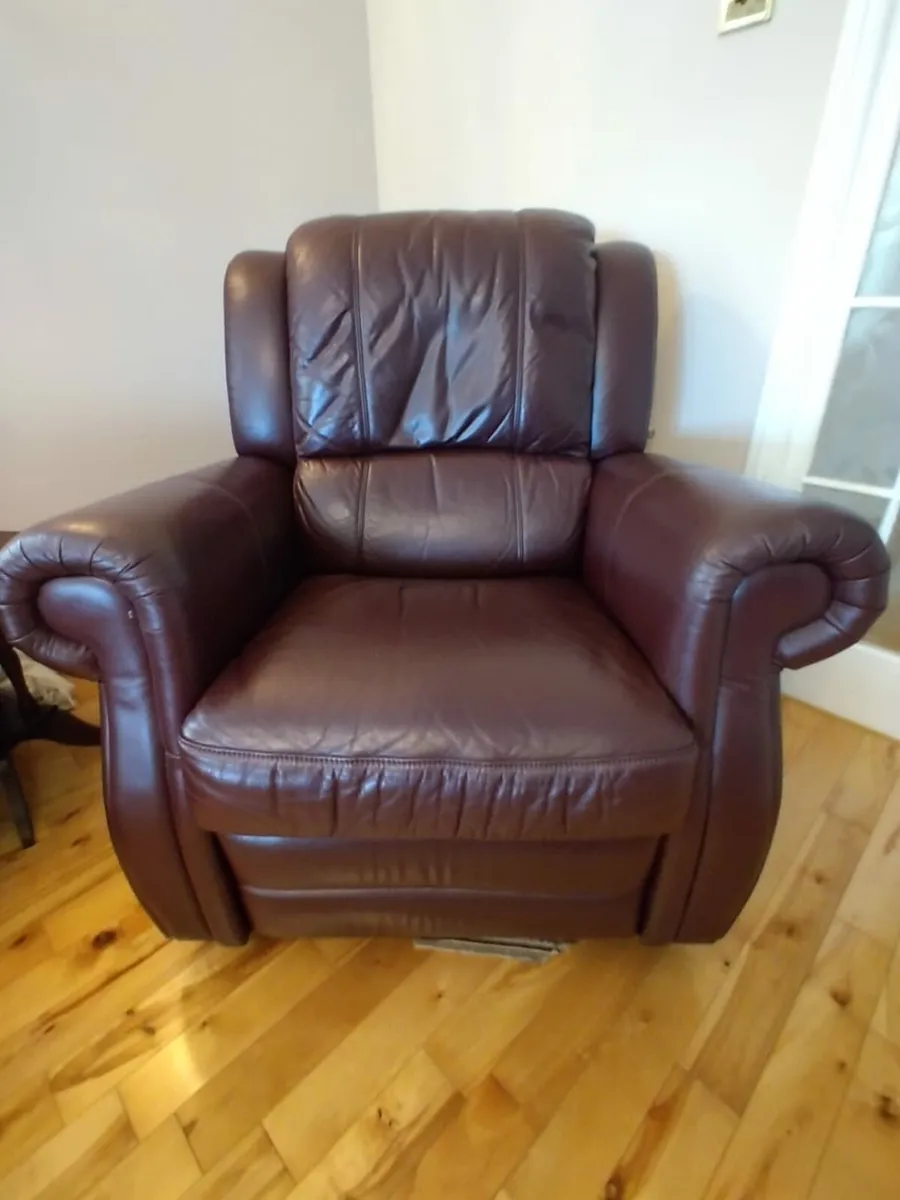 3-1-1 Leather Suite - Image 1
