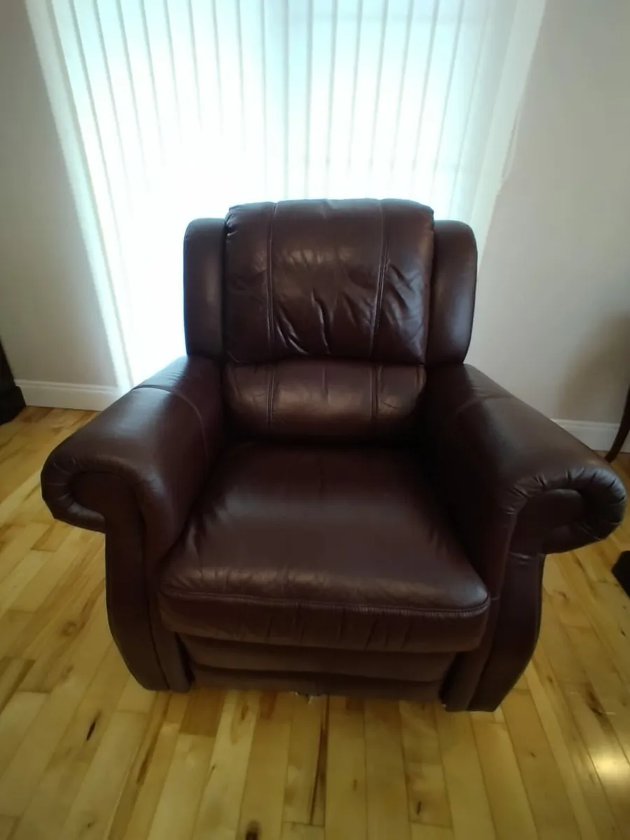 3-1-1 Leather Suite - Image 2