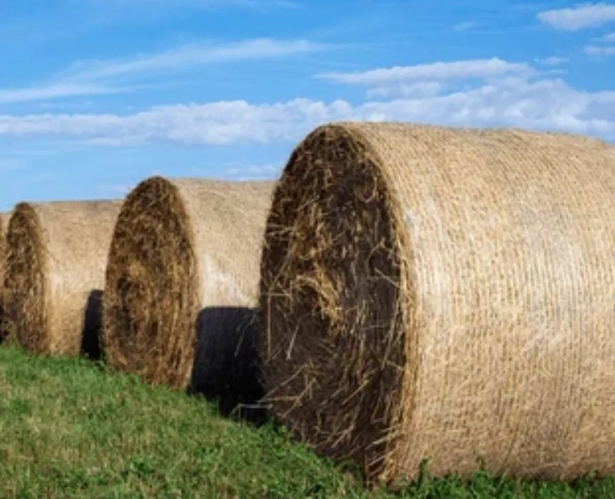 Bakes of Hay