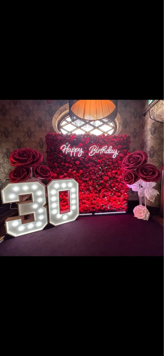Red rose flower wall with 2 gigantic red roses