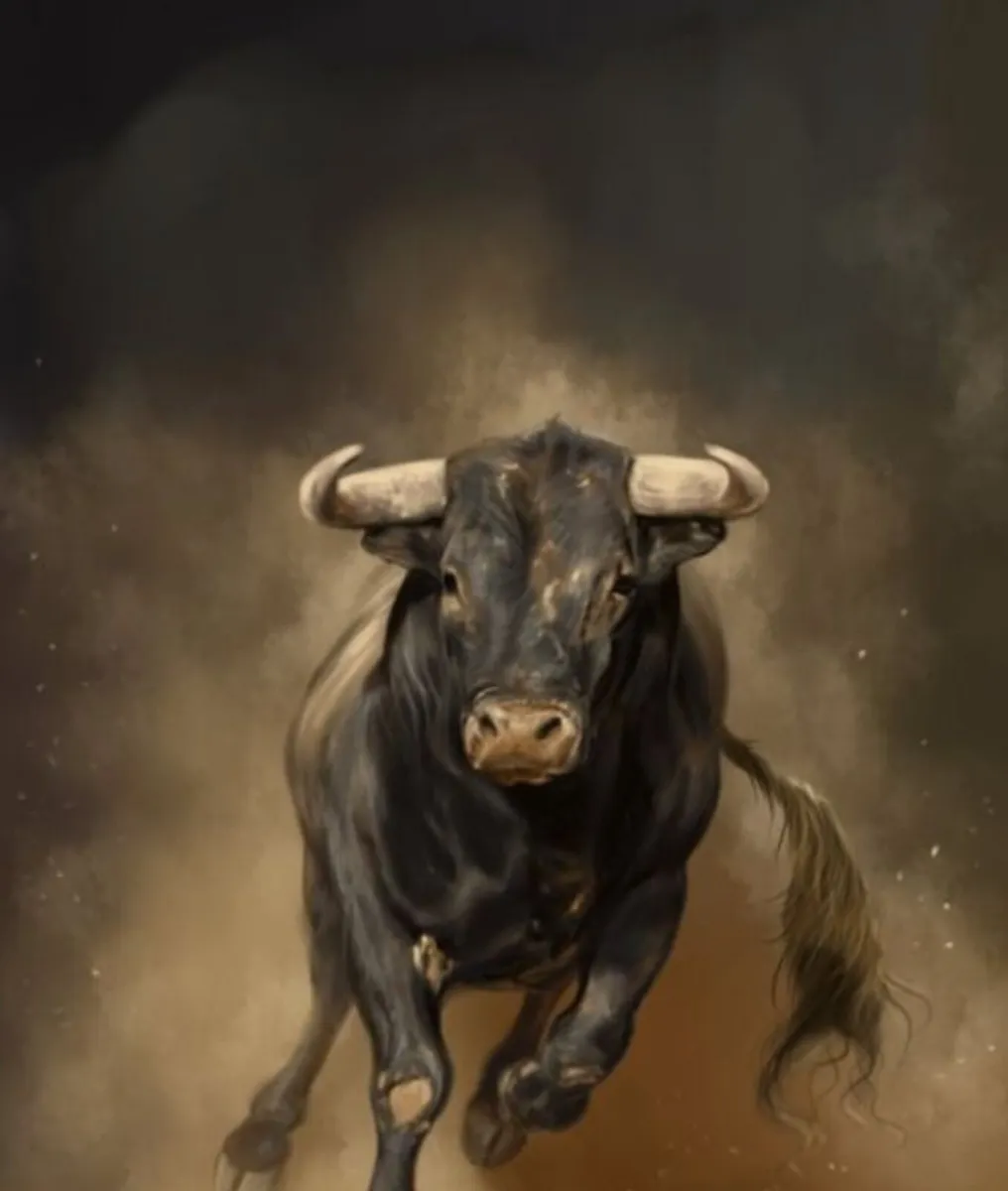 Cull Stock Bulls Wanted .