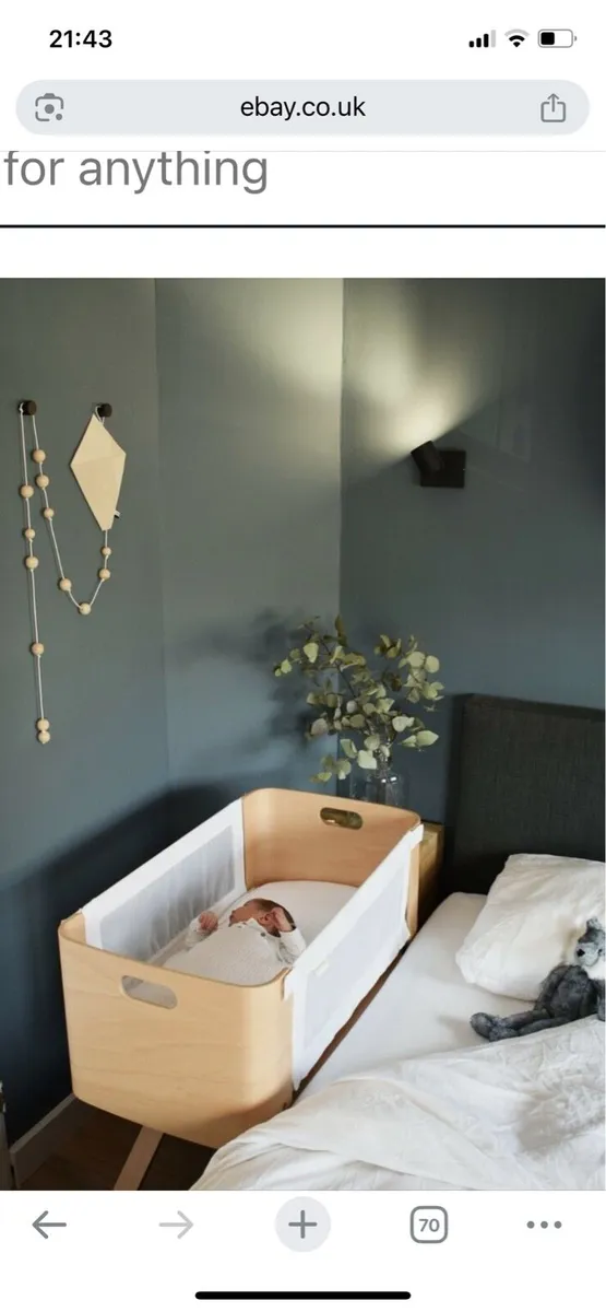 Bednest co-sleeper - Image 1