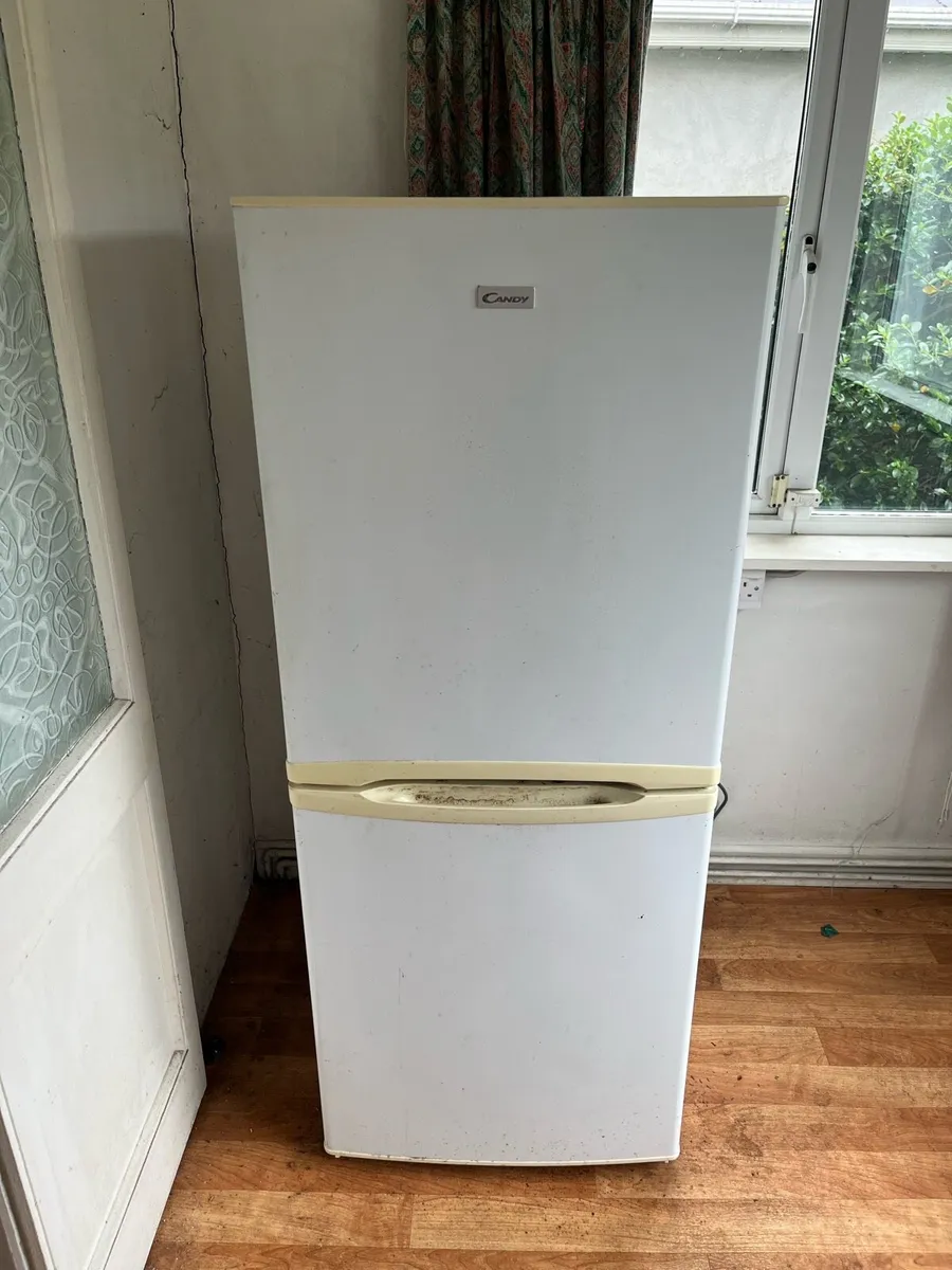 Fridge freezer - Image 1