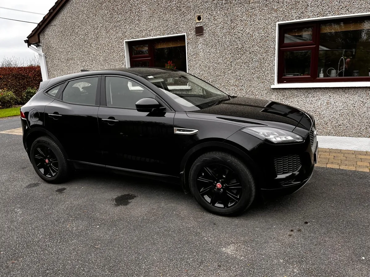 Jaguar e pace - Image 1
