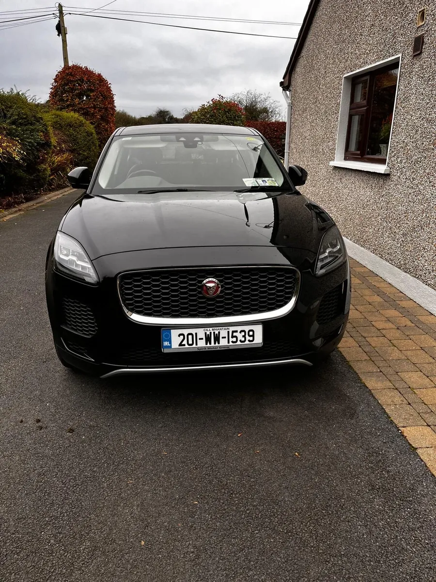 Jaguar e pace - Image 2