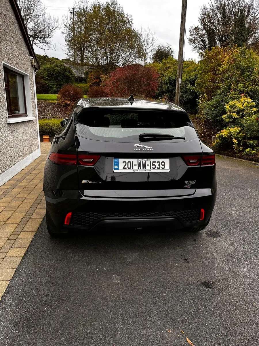 Jaguar e pace - Image 3