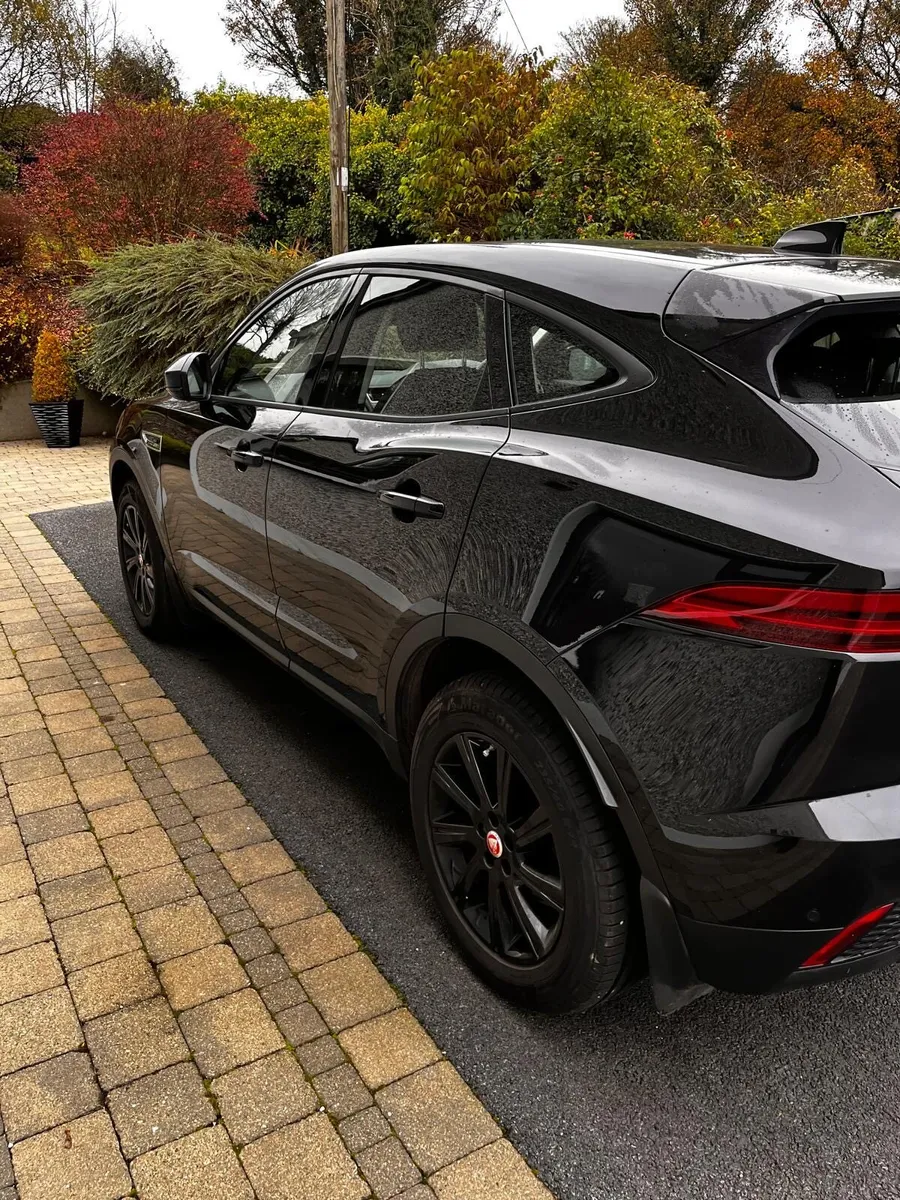 Jaguar e pace - Image 4