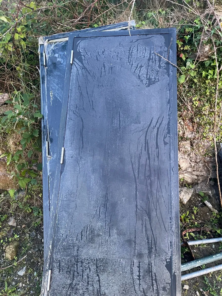 Steel door - Image 1