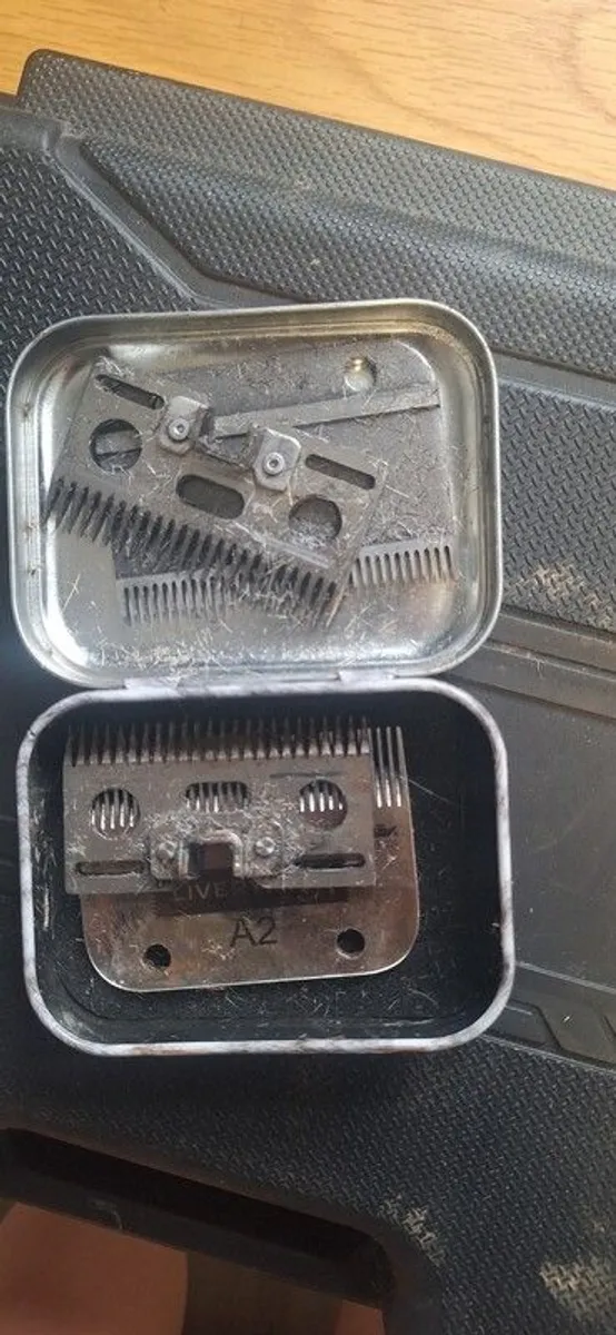 horse clippers - Image 4