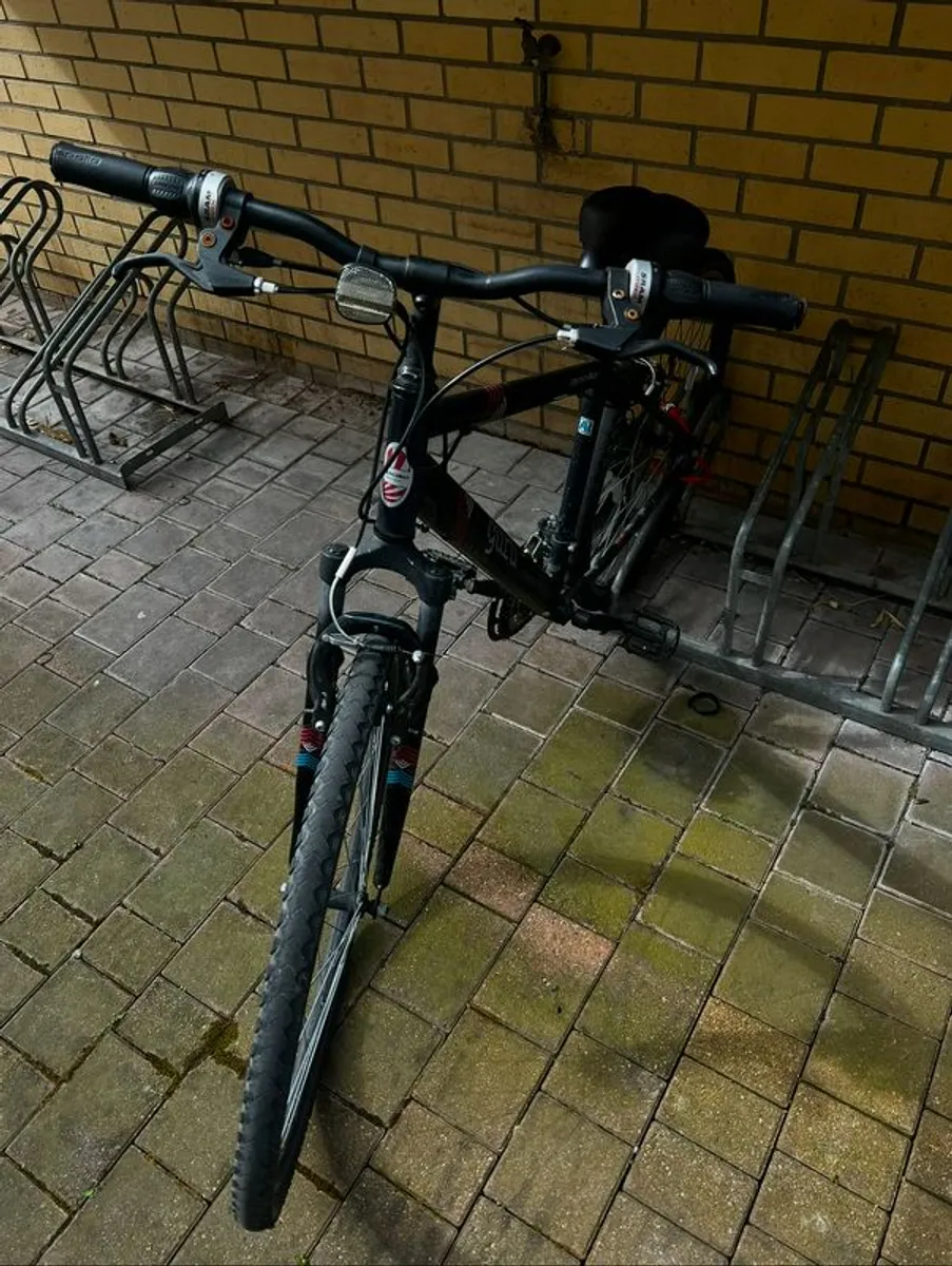 adult bicycle - Image 2
