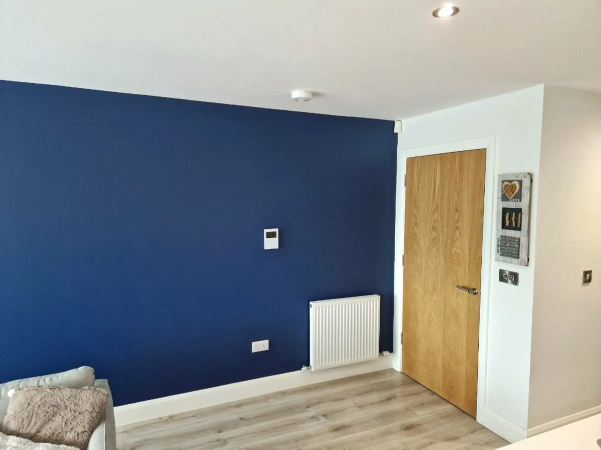 Experienced Painter Available - Image 2