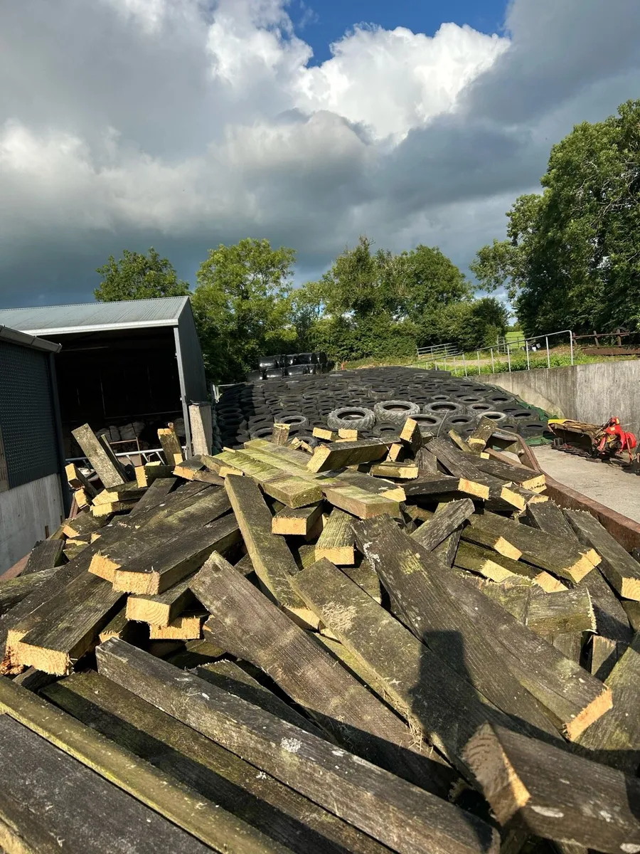 Fire wood - Image 2