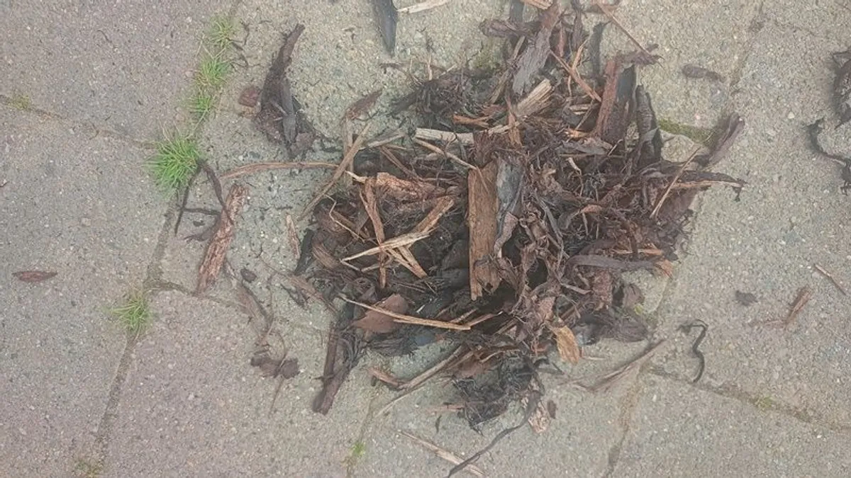 Bark mulch - Image 2