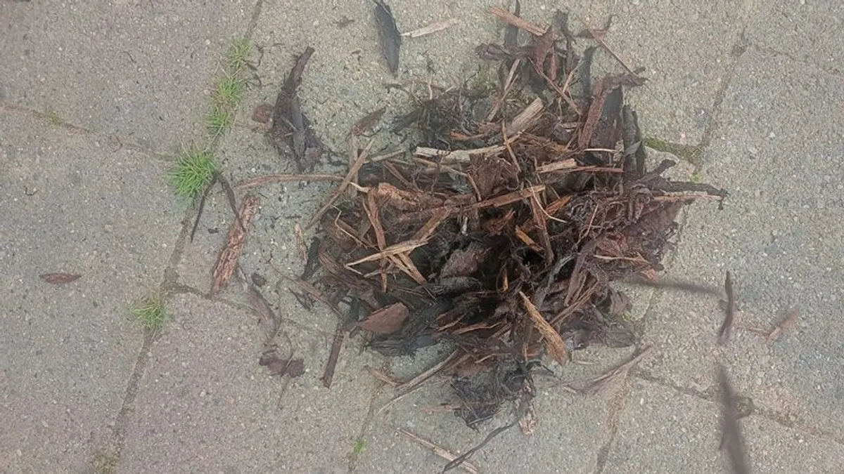 Bark mulch - Image 3