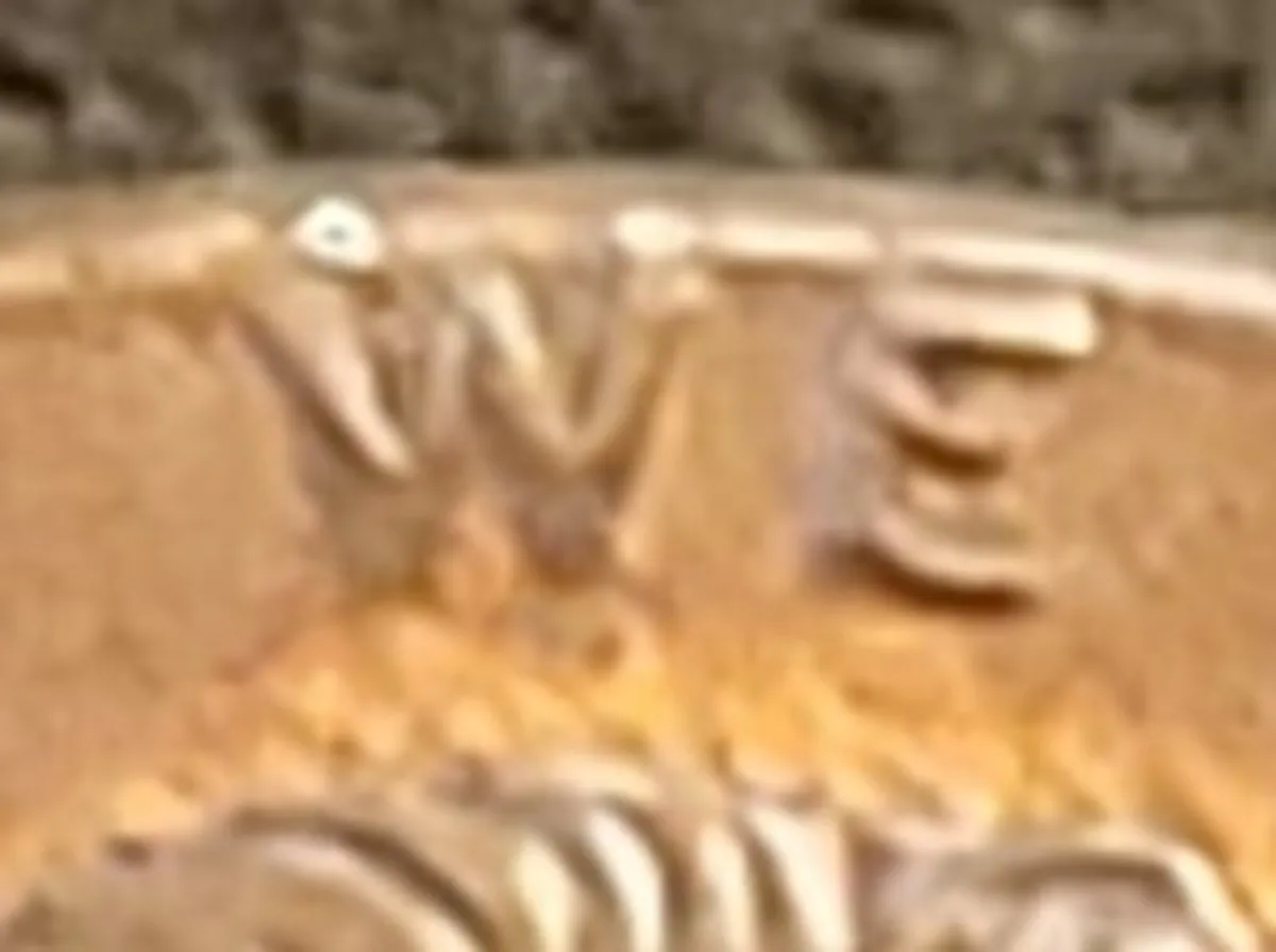 RARE ERROR 1995 D LINCOLN CENT COIN - Image 3
