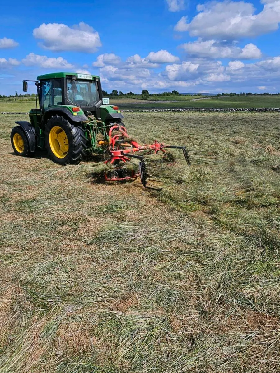 Hay - Image 2
