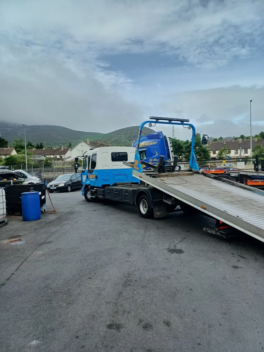 Renault D12 2021 - Image 4