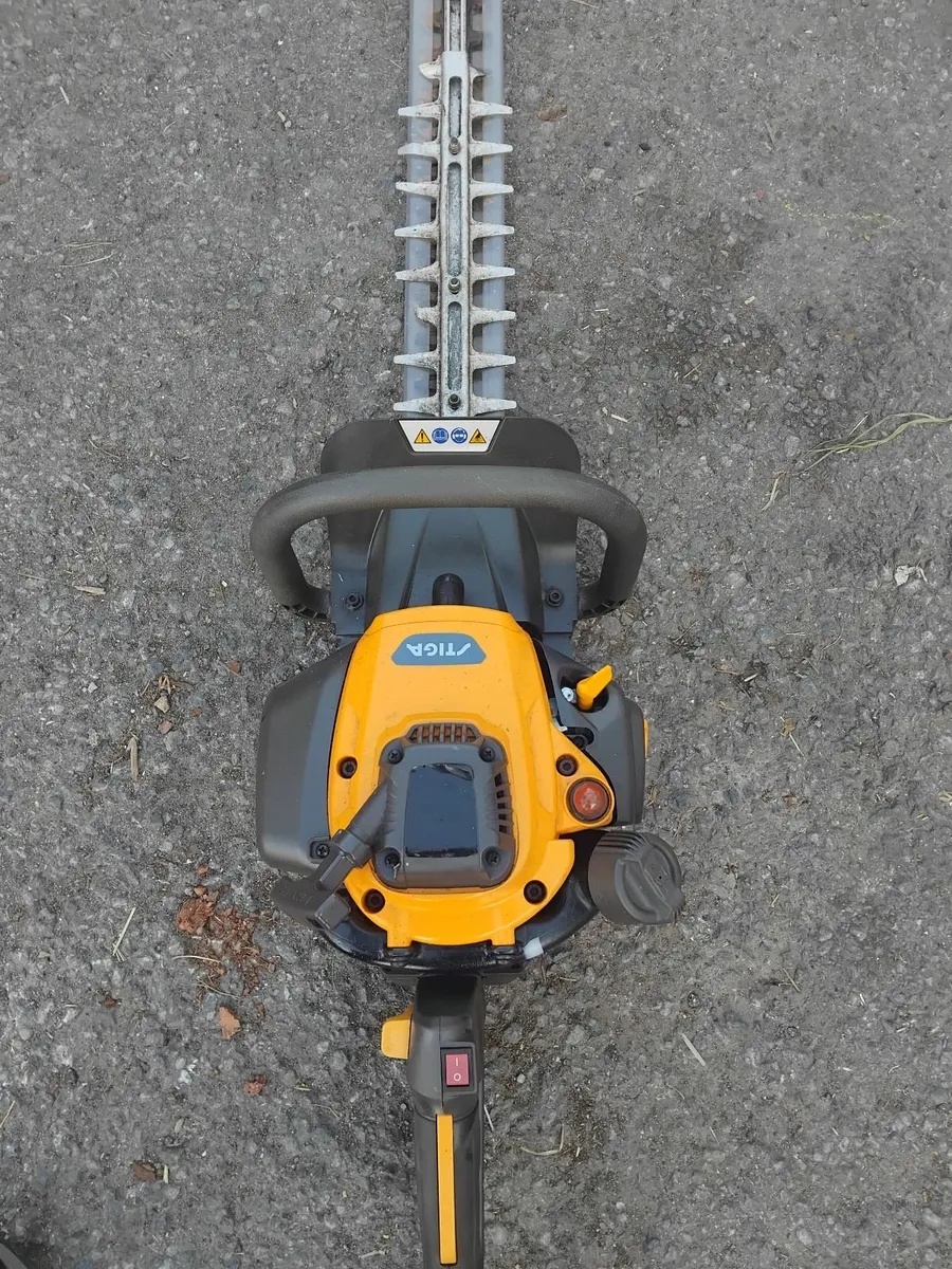 Tiga hedge strummers running well priced - Image 2