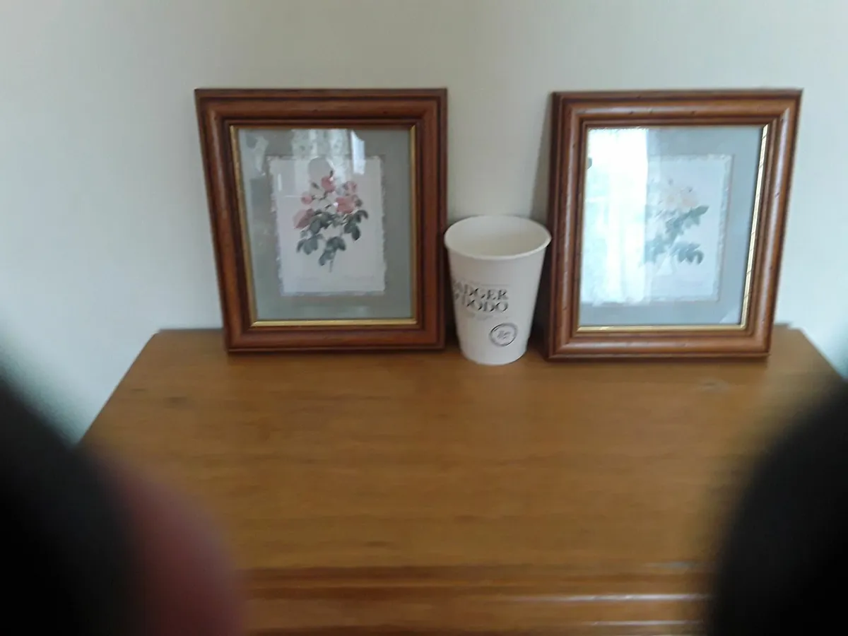 Two nice pictures suitable for anywhere in the hou - Image 1