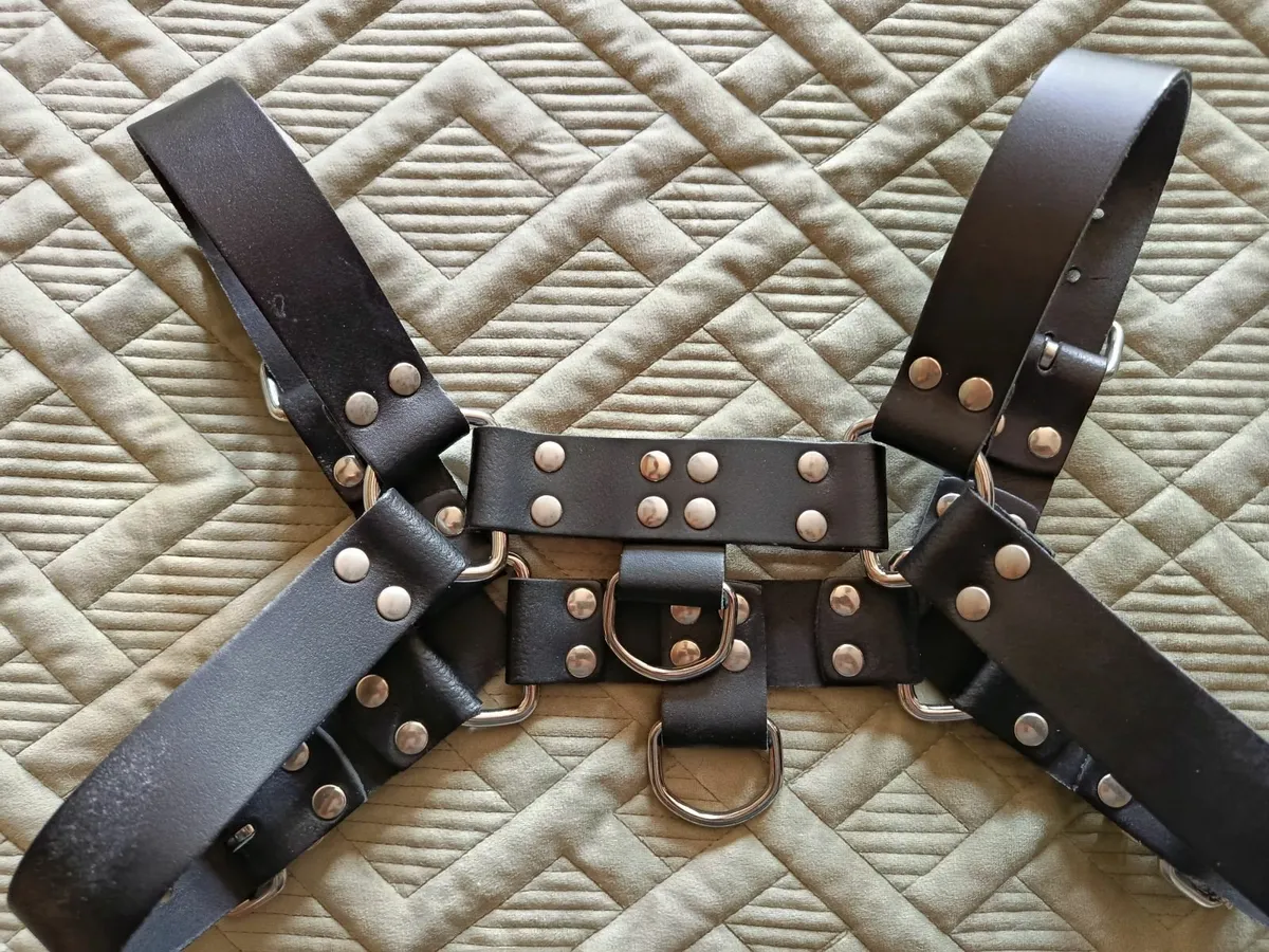 Male leather kink harness - Image 1