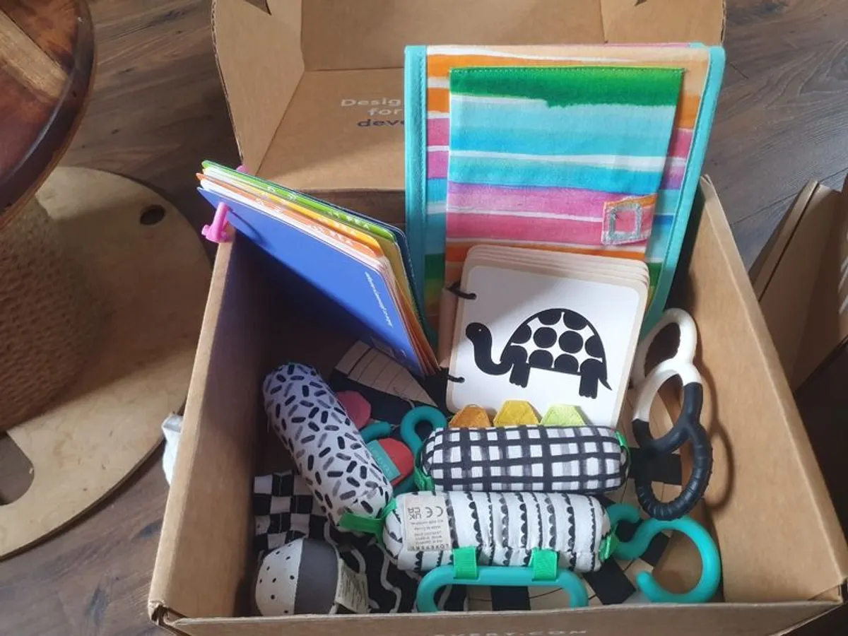 Lovevery Toys (Price Per Box) - Image 4
