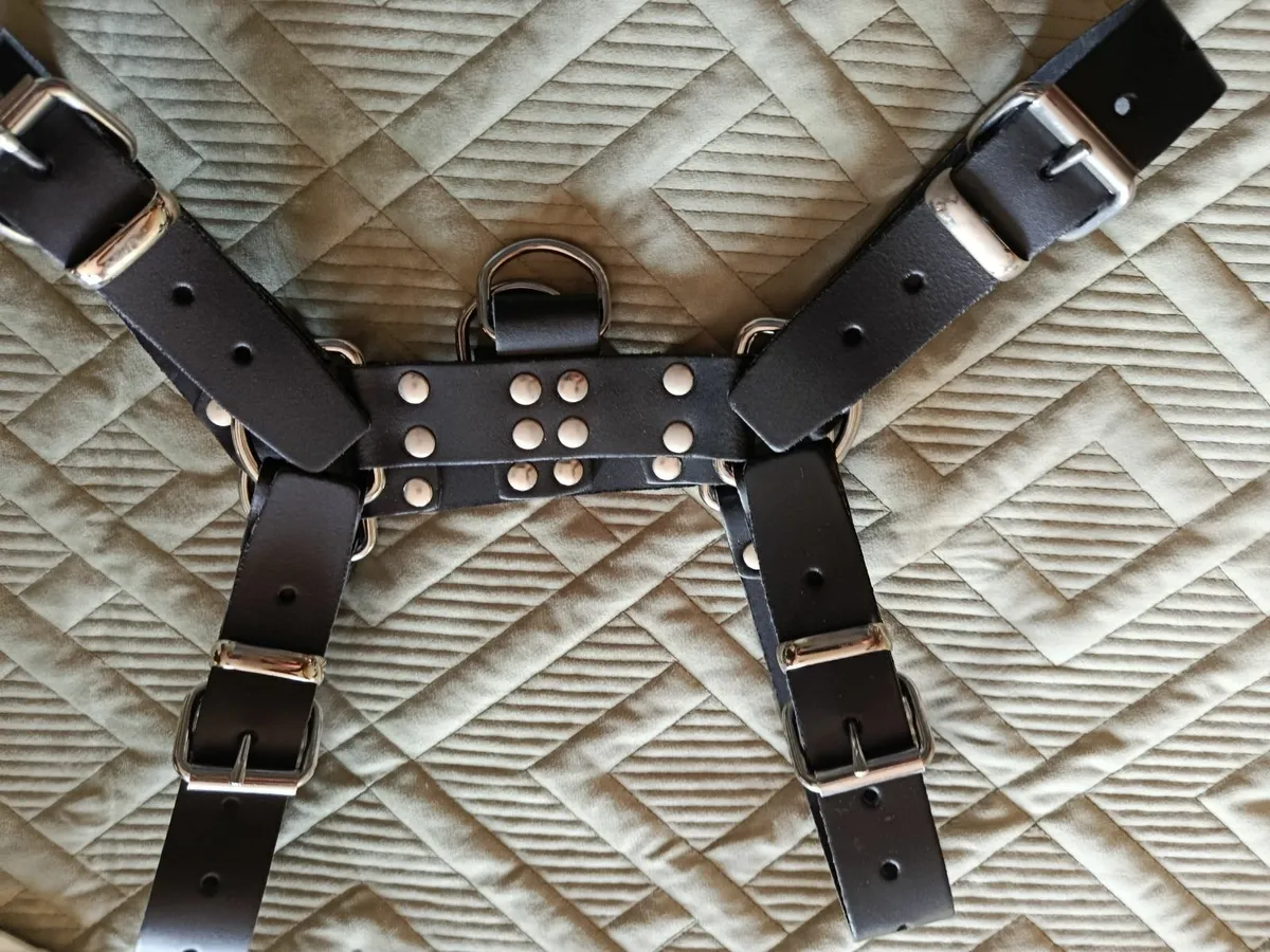 Male leather kink harness - Image 4